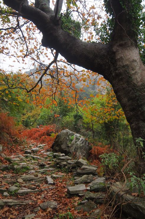 En las gargantas de Dimosari