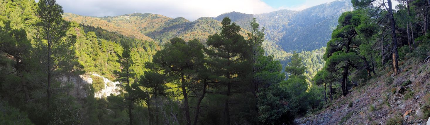 Alrededor del monte Dirfi