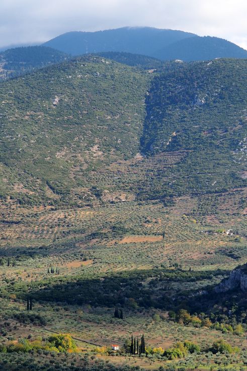 En el Monasterio de Osios Loukas