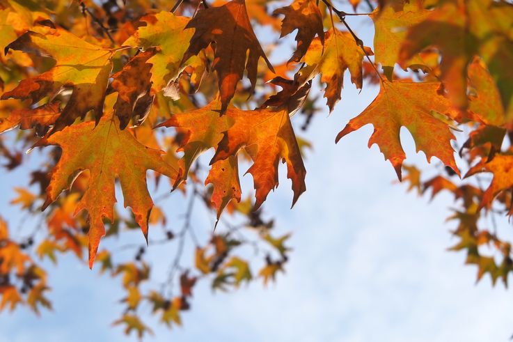 Dans le village de Paleos Panteleimonas