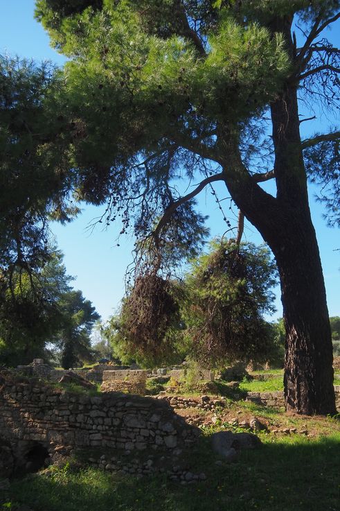 El sitio arqueológico de Olimpia