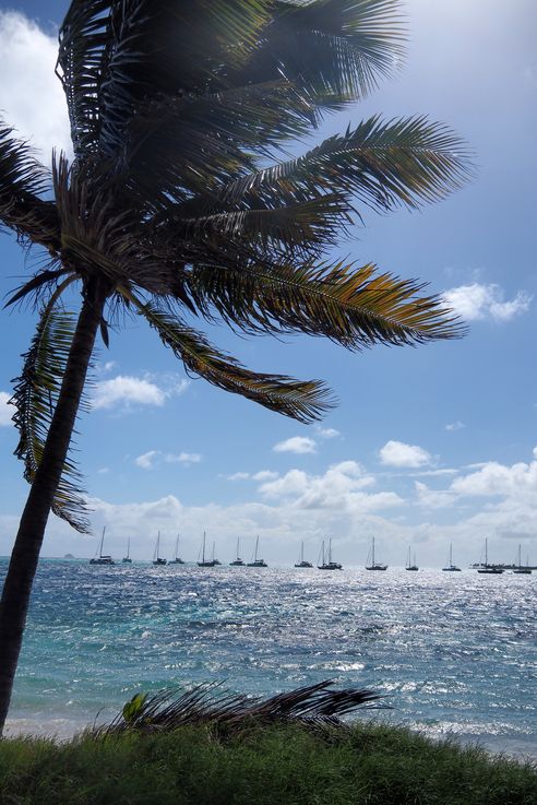 Tobago Cays - San Vicente y las Granadinas