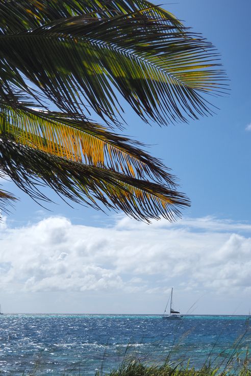 Tobago Cays - San Vicente y las Granadinas