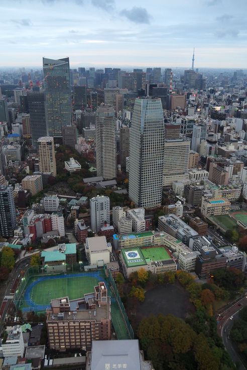 Desde la Torre de Tokio