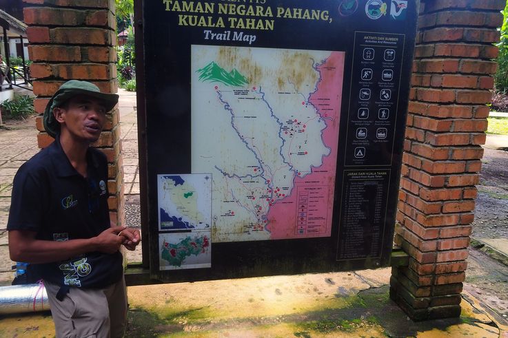 Carte des sentiers de Taman Negara avec un guide à Kuala Tahan.
Altitude : 72 mètres