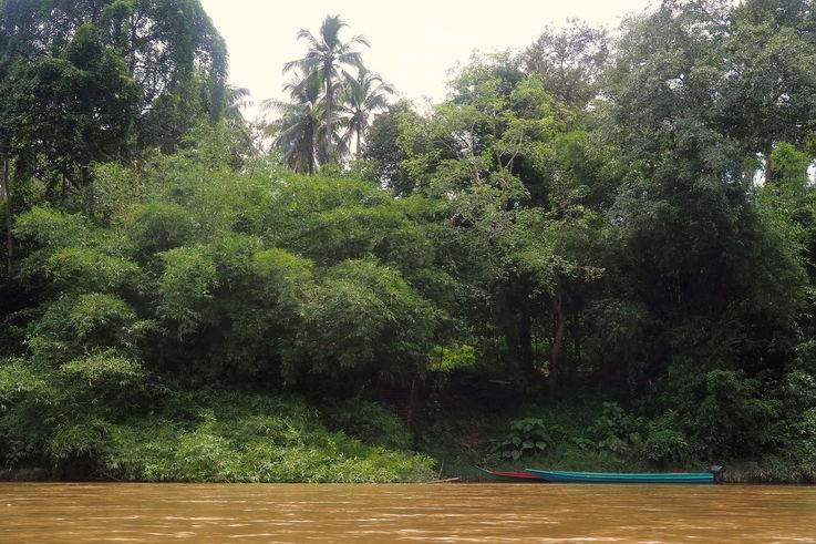 Rive du fleuve à Pasir Pengau, Parc National de Taman Negara, avec des bateaux.
Altitude : 74 mètres