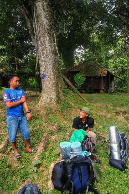 Conversation de randonneurs au Kuala Keniam Jetty, Taman Negara National Park.
Altitude : 87 mètres