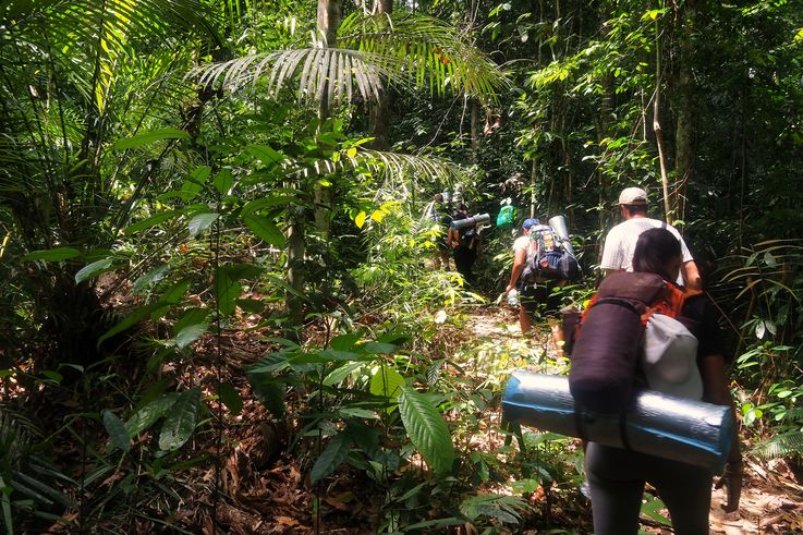 Parc national de Taman Negara