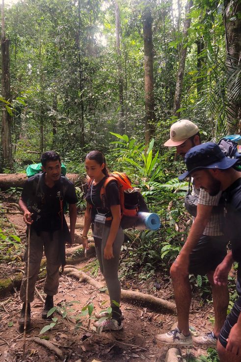 Groupe en trekking sur le sentier Gua Daum Menari dans le parc national de Taman Negara.
Altitude : 108 mètres