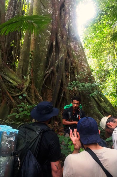 Guide et groupe de randonneurs à la grotte de Gua Daun Menari, parc national de Taman Negara.
Altitude : 112 mètres
