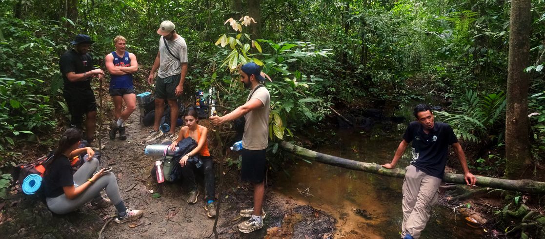 Trekking de groupe en forêt le long d'une rivière, parc national de Taman Negara, Pahang.
Altitude : 112 mètres