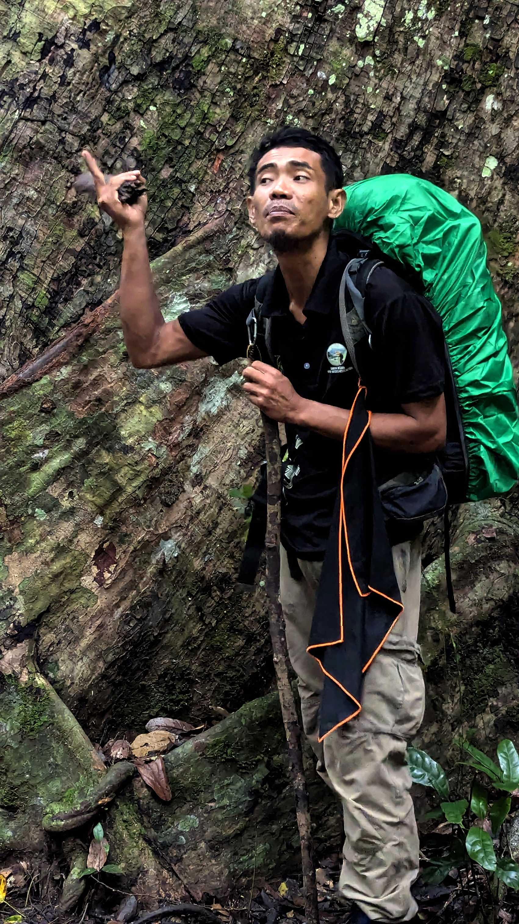 Guide à Gua Kepayang Kecil, parc national de Taman Negara.
Altitude : 92 mètres