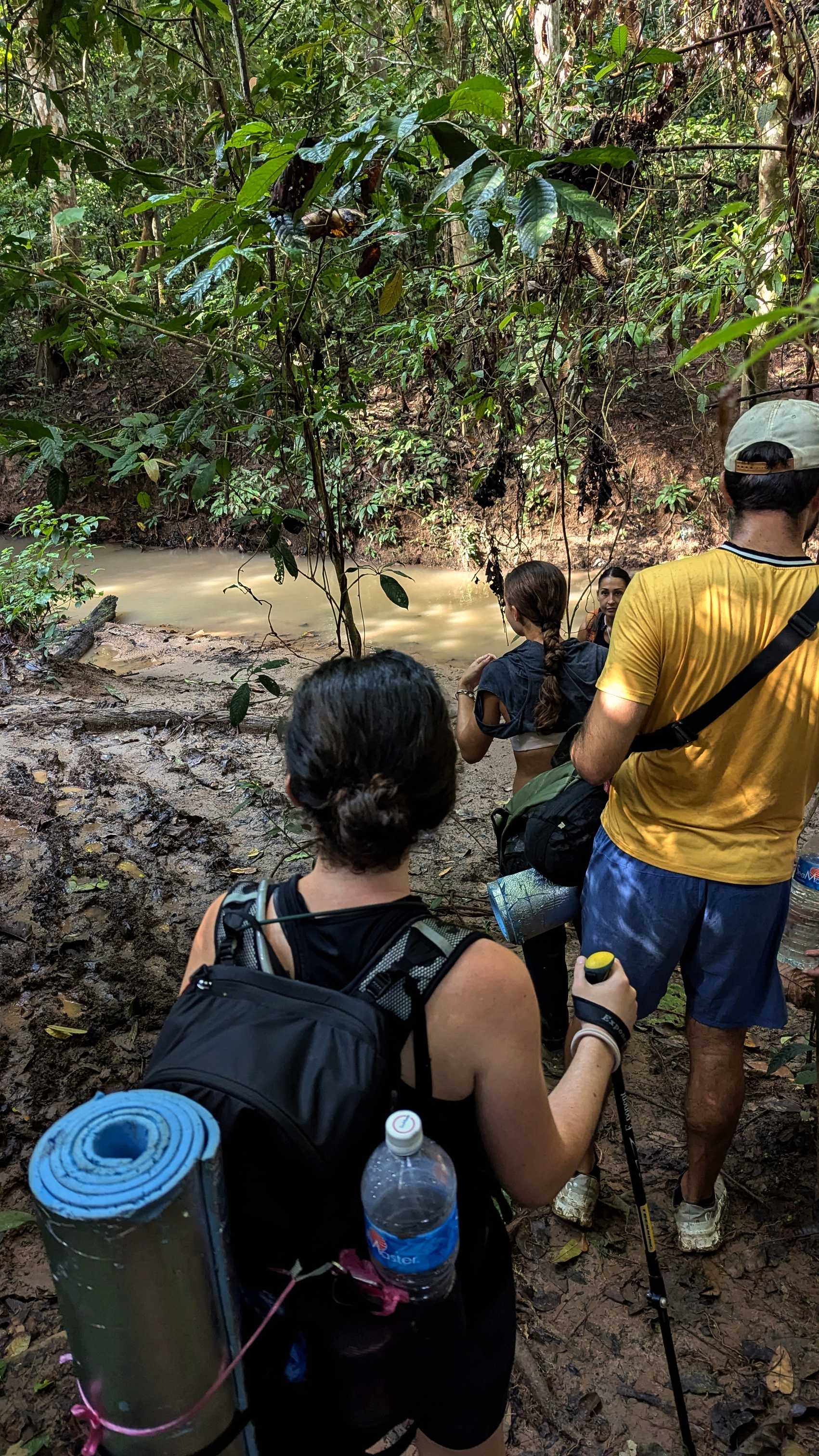 Trekking en forêt tropicale à Gua Kepayang, parc national de Taman Negara.
Altitude : 90 mètres