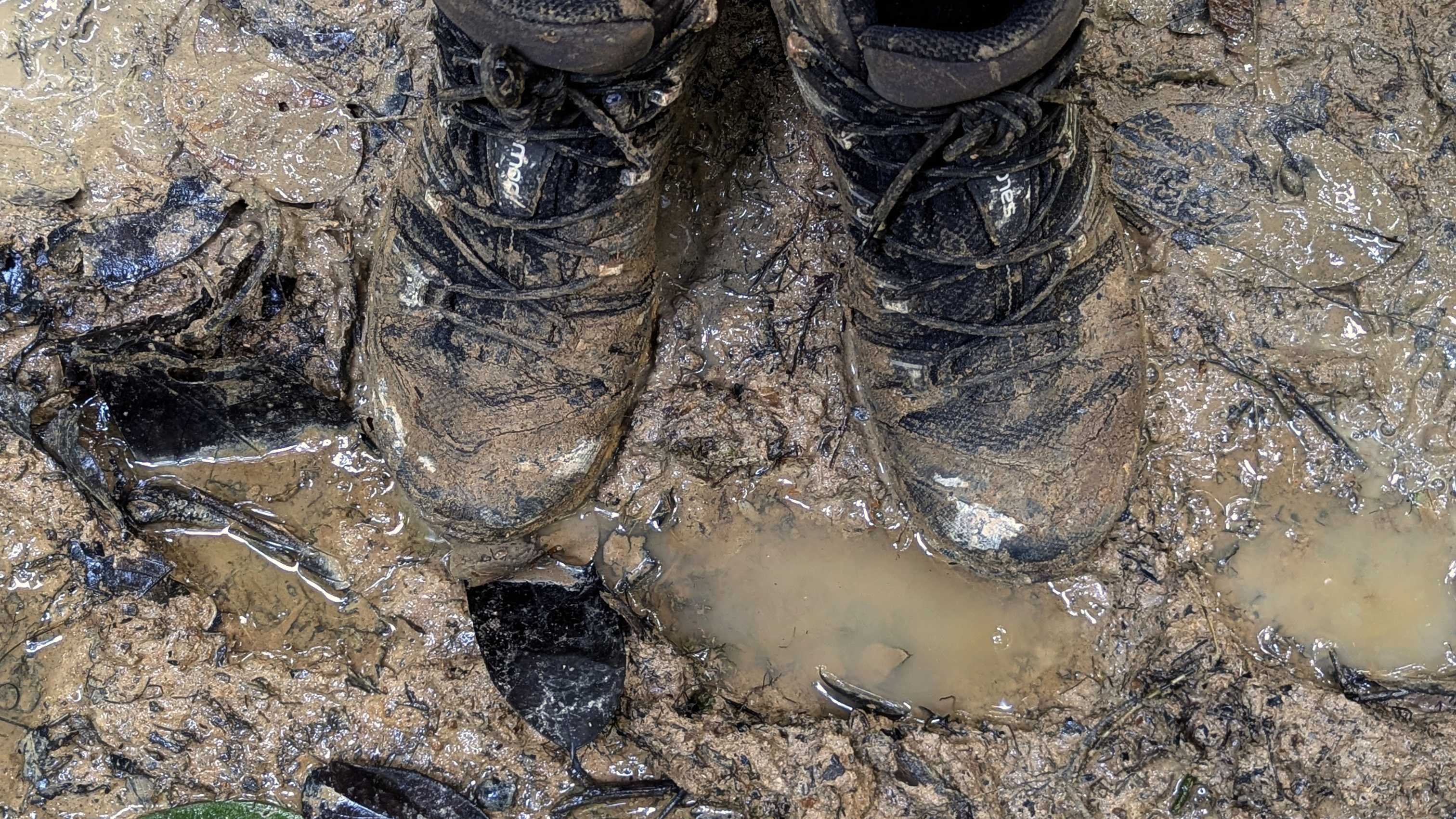 Chaussures de trekking boueuses dans le parc national de Taman Negara.
Altitude : 79 mètres