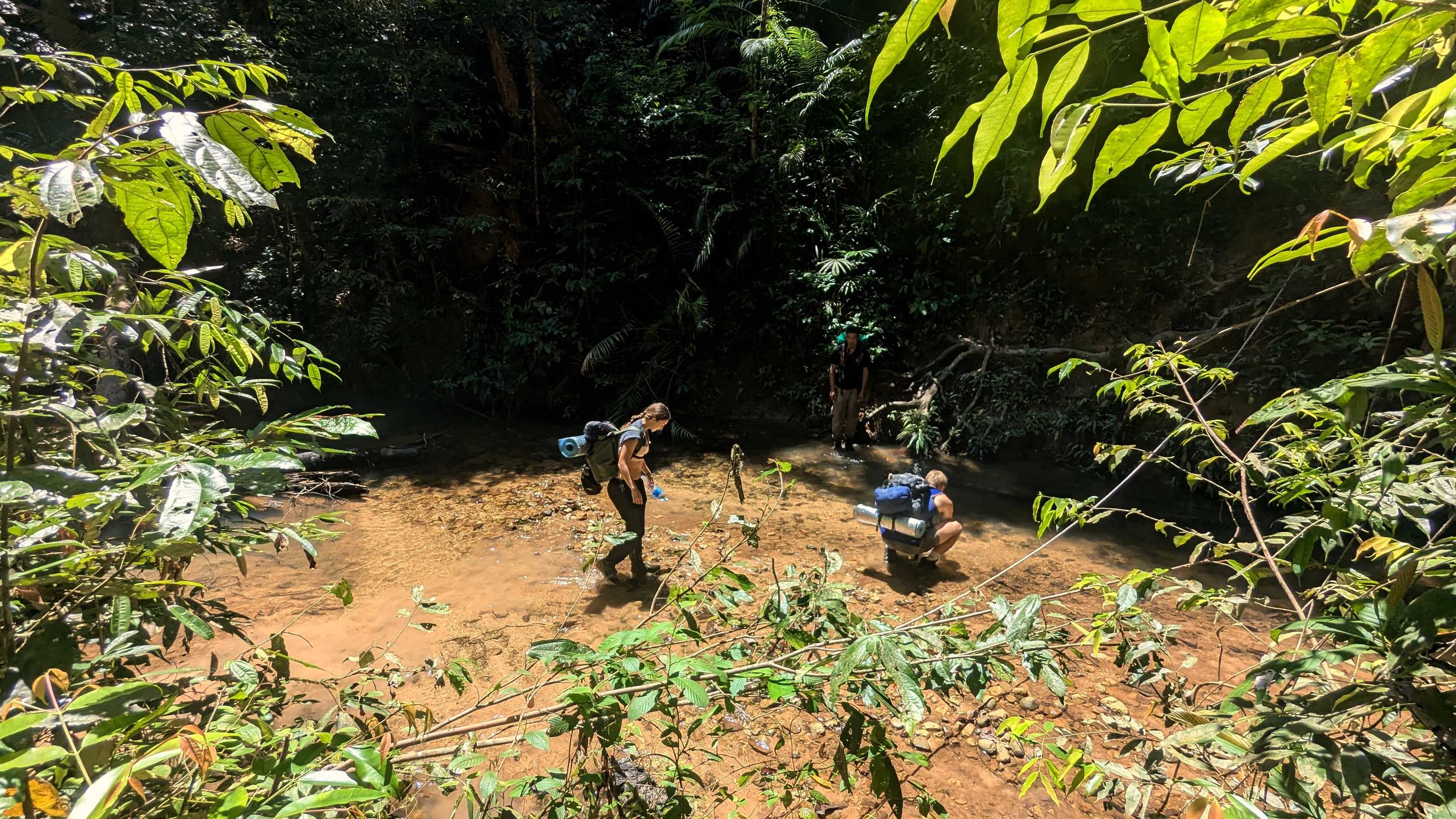 Traversée de rivière sur le sentier Kumbang, parc national de Taman Negara.
Altitude : 87 mètres