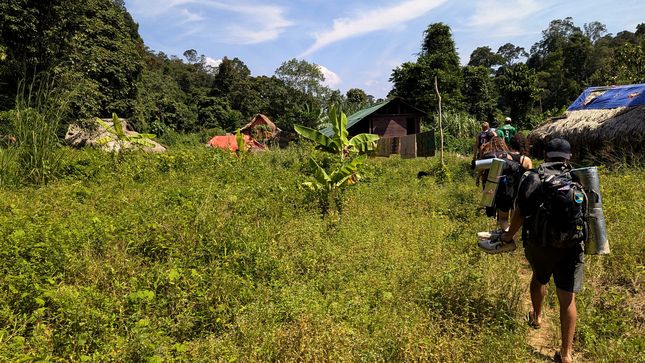 Village Orang Asli de Kampung Dedari, dans le parc national de Taman Negara.
Altitude : 95 mètres