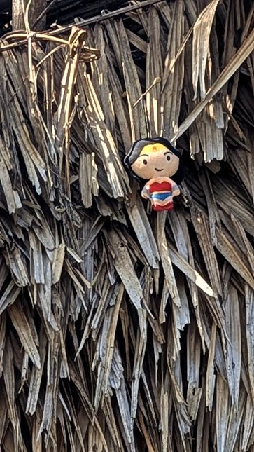 Figurine sur un toit de chaume au village Orang Asli de Kampung Dedari.
Altitude : 91 mètres