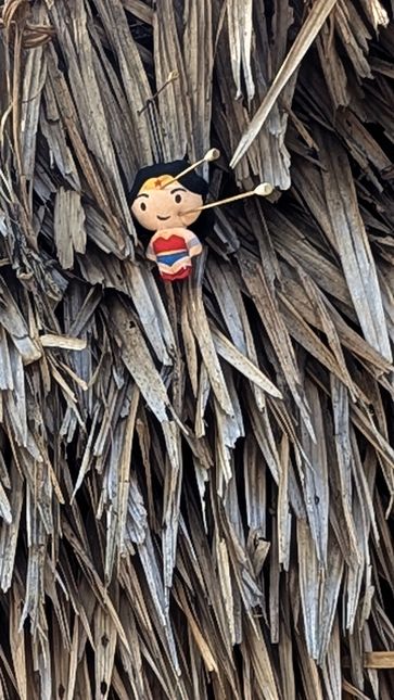 Poupée Wonder Woman sur un toit de chaume, village Orang Asli de Kampung Dedari, Taman Negara.
Altitude : 83 mètres