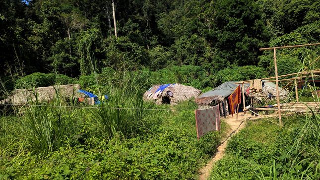 Village Orang Asli de Kampung Dedari, Taman Negara.
Altitude : 87 mètres