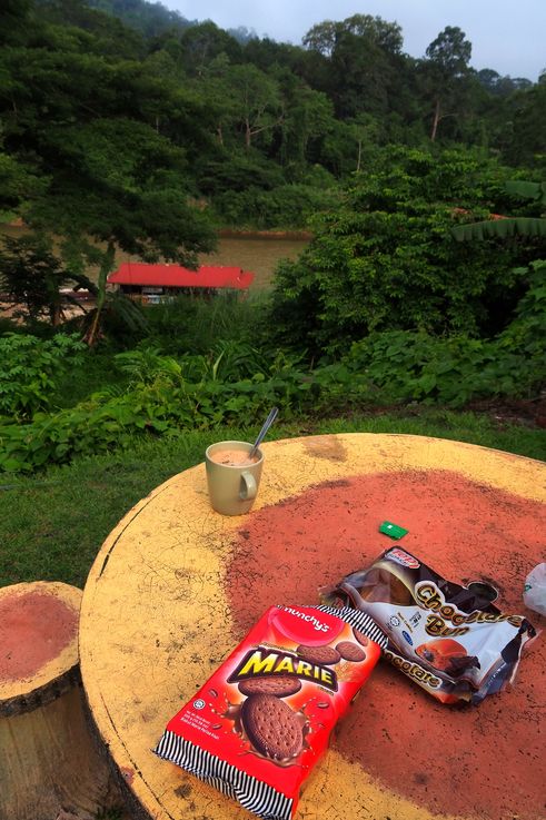 Biscuits et boisson à la Rainbow Guesthouse, Kuala Tahan.
Altitude : 68 mètres