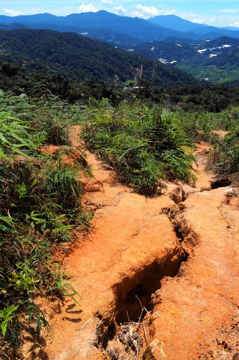 Sentier de Gunung Jasar et vue sur les paysages des Cameron Highlands.
Altitude : 1623 mètres