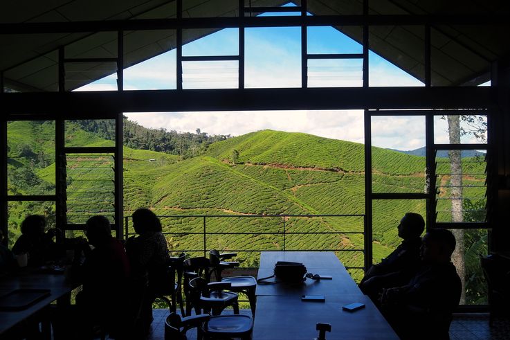 Vue des plantations de thé de Sungai Palas depuis le BOH Tea Centre, Cameron Highlands.
Altitude : 1496 mètres