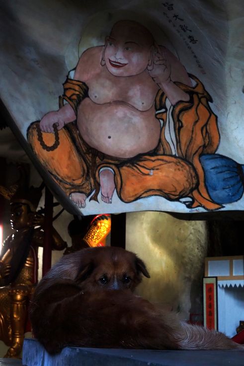 Peinture de Bouddha rieur et chien au temple de Perak Tong, Ipoh.