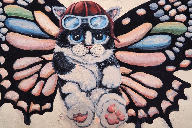 Mural de chat aviateur aux ailes de papillon à George Town.
Altitude : 16 mètres
