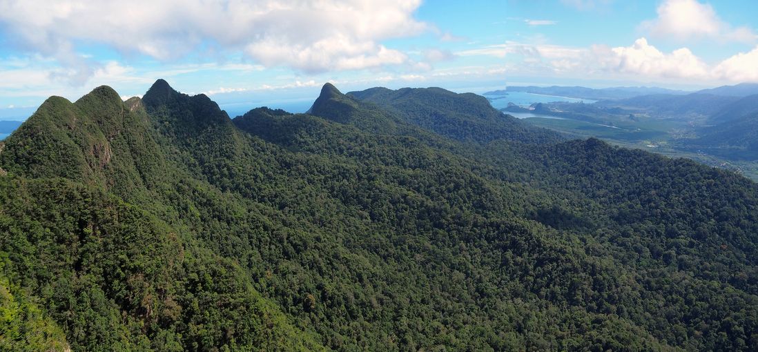Chaîne de montagnes et forêts tropicales de Langkawi, Kedah.
Altitude : 635 mètres