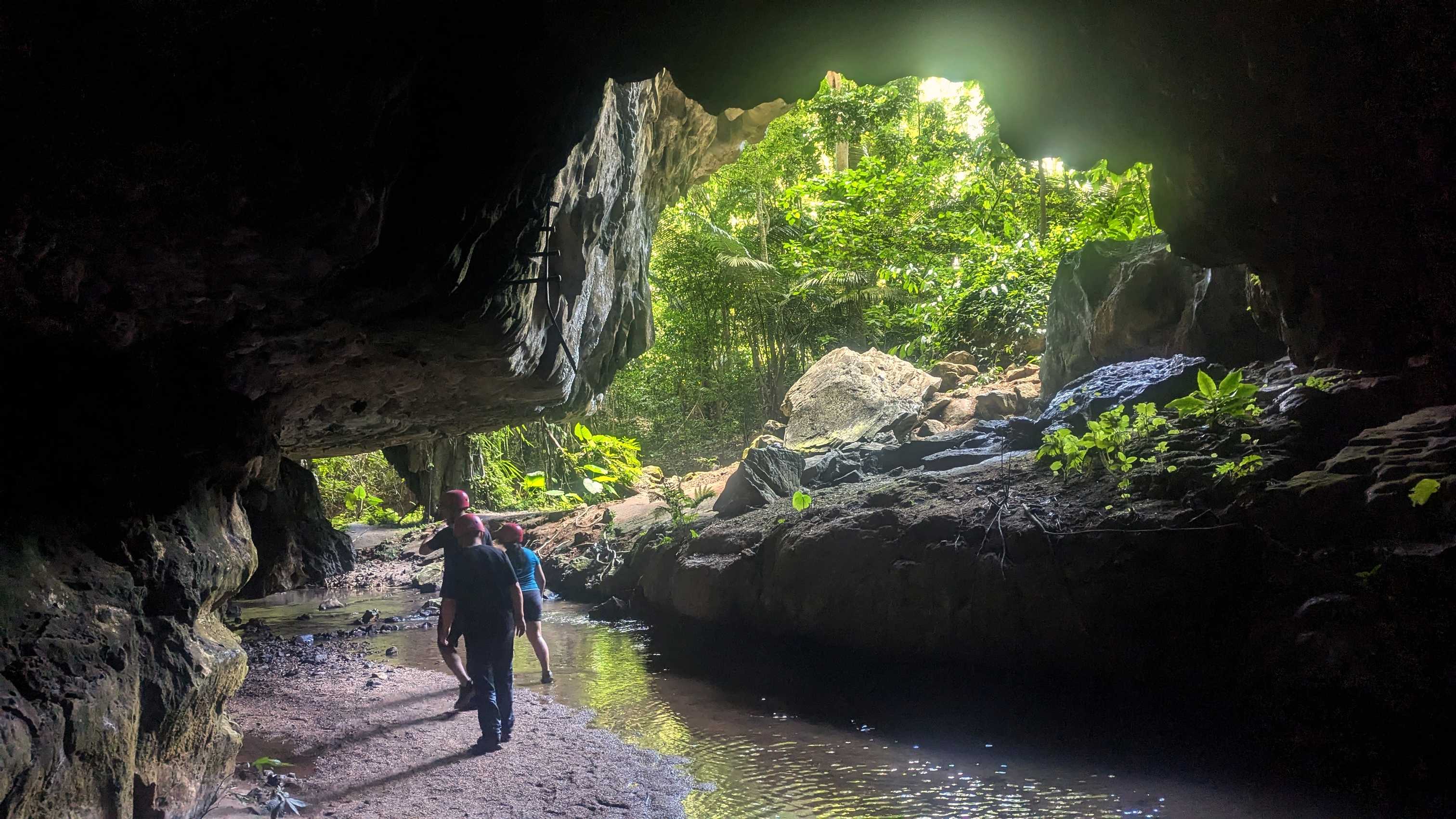 Passage de la grotte de Gua Tempurung, avec cours d'eau et végétation extérieure.
Altitude : 94 mètres