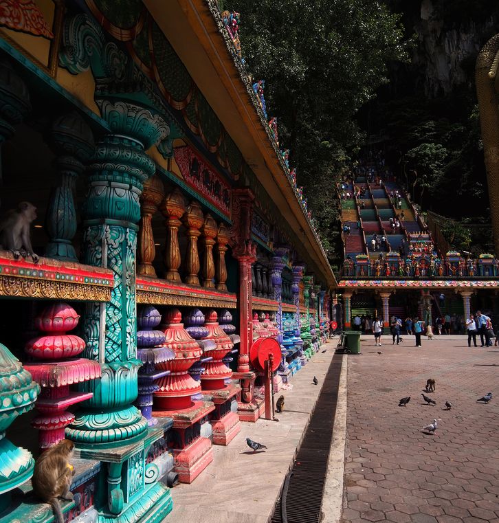 Le temple des Batu Caves, ses escaliers colorés et des macaques crabiers.
Altitude : 49 mètres