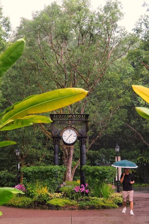 Horloge du jardin botanique, entrée de Tanglin.
Altitude : 28 mètres