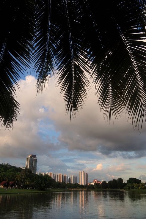 Lac de Kallang, Spirit of Kallang, Tanjong Rhu.
Altitude : 4 mètres