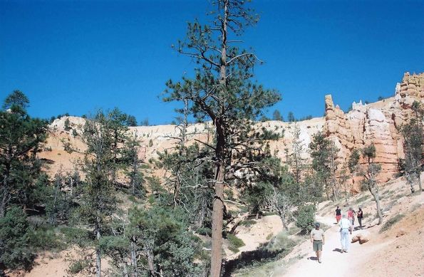 Bryce Canyon
