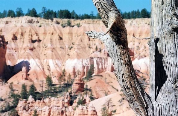 Bryce Canyon