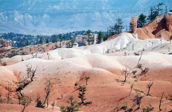 Bryce Canyon