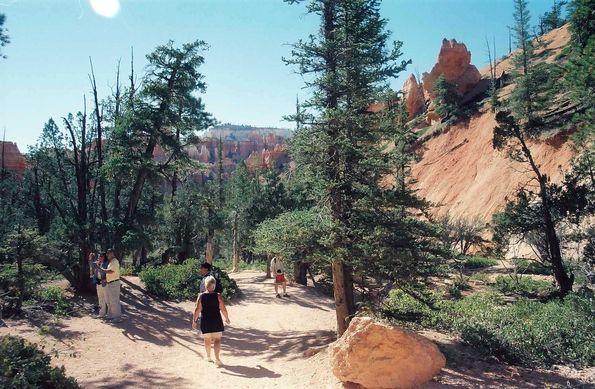 Bryce Canyon