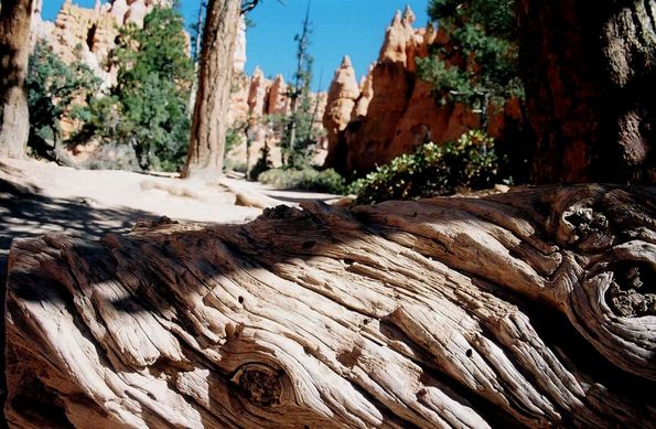 Bryce Canyon