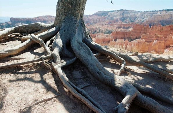 Bryce Canyon